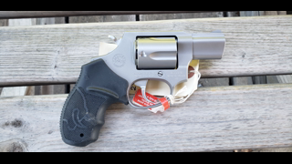 Stainless Taurus Model 85 .38 Spl Revolver