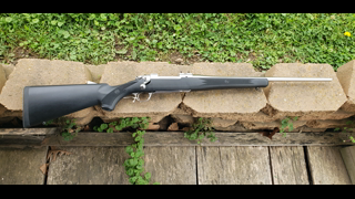 Stainless Ruger M77 Hawkeye Bolt Action .243 Winchester Rifle